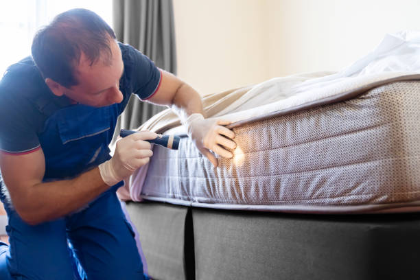 Best Bed Bug Extermination  in Aquebogue, NY